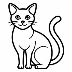 black and white cat