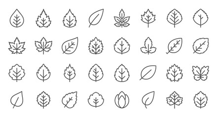 Leaf icons, set of line icons, icon sheet