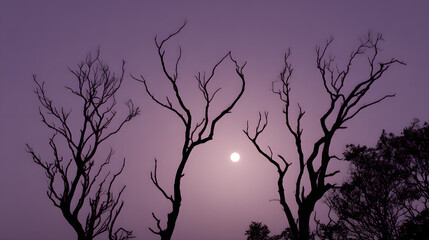 Silhouetted trees with bare, twisted branches against a dusky, purplish sky, with a faint full moon glowing behind.
