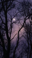 Silhouetted trees with bare, twisted branches against a dusky, purplish sky, with a faint full moon glowing behind.
