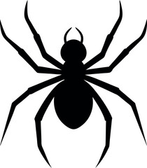 Obraz premium black spider isolated on white background