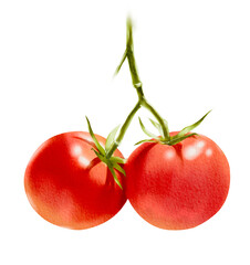 Fresh red tomatoes on green stem, vibrant and ripe, perfect for salads or cooking. Their glossy surface and rich color evoke sense of freshness and health