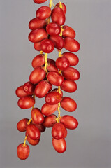 Fruits khajura bunch of red dates phoenix sylvestris roxb
