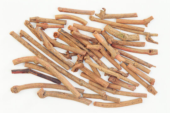 Ayurvedic herb manjistha indian madder rubia cordifolia linn on white background
