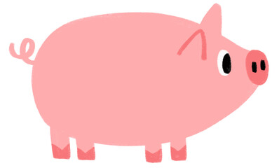 Animals illustration