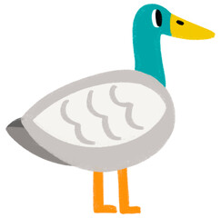 Animals illustration