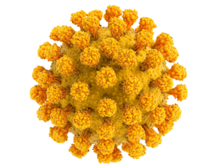 Microscopic Virus: Golden Yellow Sphere with Detailed Surface Structure, PNG