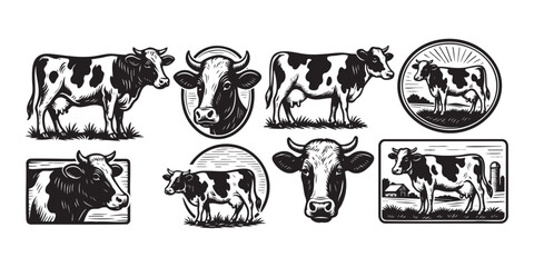 cow farm set in vintage style hand-drawn engraving woodcut illustration
