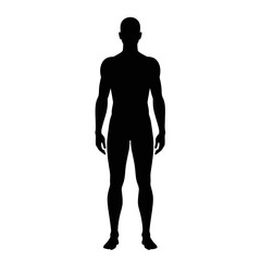Flat Black Silhouette Vectors of Human Body and Internal Organs on White Background