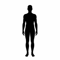 Flat Black Silhouette Vectors of Human Body and Internal Organs on White Background