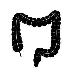 Flat Black Silhouette Vectors of Human Body and Internal Organs on White Background