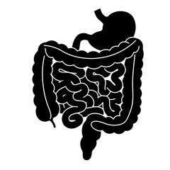 Flat Black Silhouette Vectors of Human Body and Internal Organs on White Background