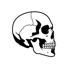 Flat Black Silhouette Vectors of Human Body and Internal Organs on White Background