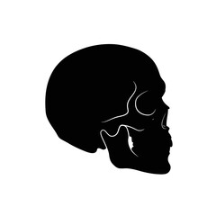 Flat Black Silhouette Vectors of Human Body and Internal Organs on White Background