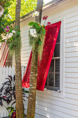 Detail of a colorful house with red wooden shutters and orchids in a tropical yard garden, vibrant colors architecture in Key West, Florida