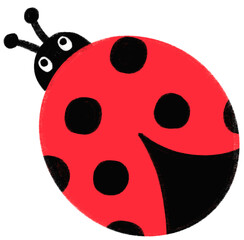 Obraz premium Bug illustrations