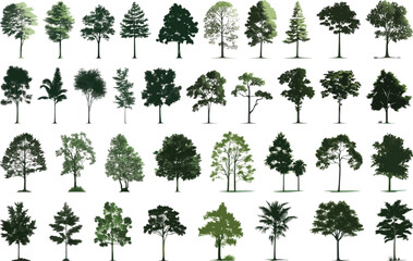 Trees Vector Set: Diverse Collection of Tree Silhouettes on White Background.