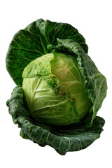 Cabbage's Natural Aura: A close-up shot of a fresh cabbage, revealing its vibrant green leaves and intricate texture in a well-lit, detailed composition, highlighting its natural appeal.