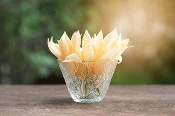 White Champaka Flowers in Low glass vase on wooden table With Sunlight.