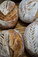 A close-up of sourdough bread reveals its golden, crispy crust and airy, textured crumb, highlighting the artisanal quality and rustic charm of homemade baking.