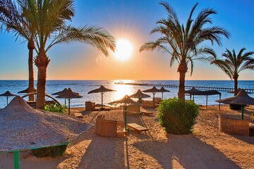 Idylic beach with palms and sun umbrelas, Red Sea, Egypt