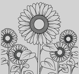 Sunflower Sketch: A detailed line art illustration showcases a group of sunflowers in full bloom, capturing their iconic beauty and geometric structure.
