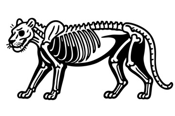  Lion X-Ray Art Doodle Line