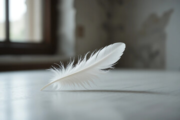white feather on black background