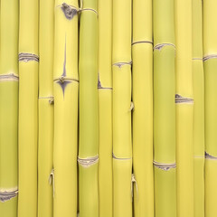 Natural Green Bamboo Texture with Vertical Nodes and Smooth Surface