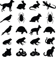 Fototapeta premium Collection of black silhouettes featuring various animals depicting wildlife and natural forms