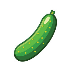 Illustration of a cucumber