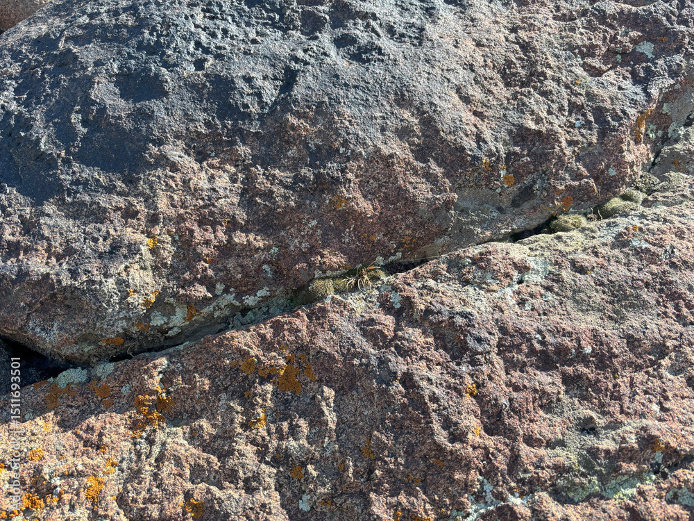 Poster rough volcanic rock texture with pink and gray mineral patterns and yellow lichen for nature backgro