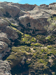sunlit moss and lichen covered granite rock surface with natural texture for outdoor branding, website background, or eco themed print design

