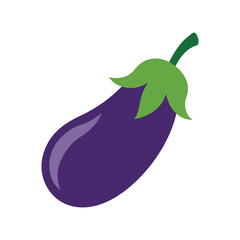 eggplant vegetable vector illustration