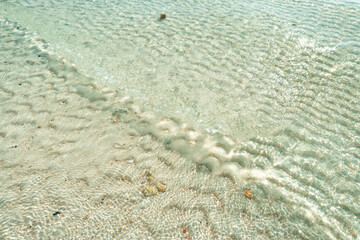 Shimmering Shallow Tropical Water with Sand Ripples