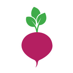 vector illustration of a Radish