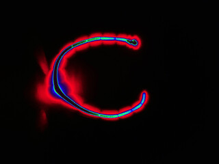 Glowing English letter C. On a black background with colored neon lines, a letter of the English alphabet is written by hand. The letter glows pink-red, creating a green-blue halo around it.