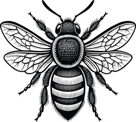 The bee vector art design