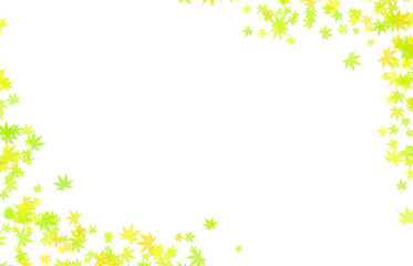 Colorful Autumn Leaves Border on a White transparent Background