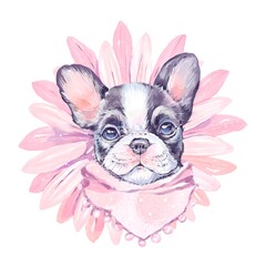 Cute French bulldog puppy face in a pink bib, surrounded by a blooming pink gerbera flower. Watercolor illustration for baby shower, kids decor, greeting cards, or nursery design
