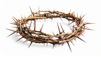 Fototapeta premium Crown of thorns isolated on white background