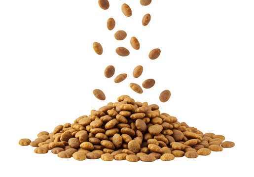 Cat food falling into a pile isolated on white or transparent background. PNG, cutout