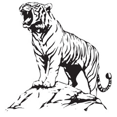 Tiger Standing on Rock - Black and White Vector Illustration