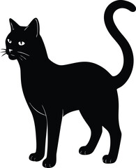black cat vector illustration