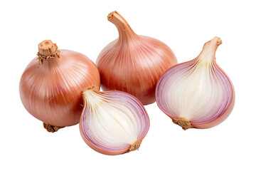 onions on white background