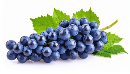 Fototapeta premium Fresh grape vine isolated white background 