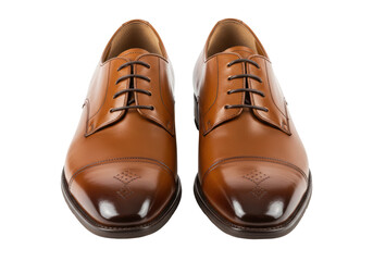 Isolated Brown Leather Dress Shoes with Intricate Detailing