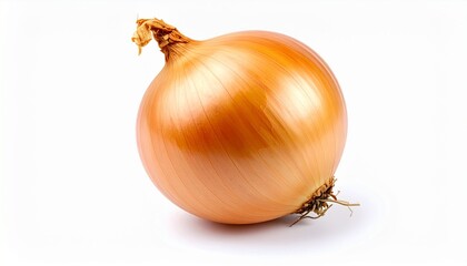 Fresh whole onion isolated on white background