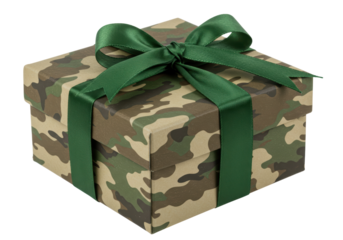 Isolated Camouflage Gift Box with Green Ribbon