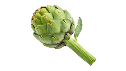 Fototapeta premium Fresh Artichoke isolated on transparent background for Culinary Use